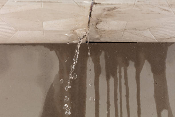 Professional Burst Pipe Cleanup technician working in Abingdon, IL